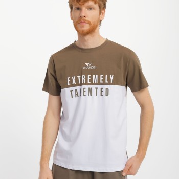 Men's T-shirt Evoids Mercer gray 552317-023