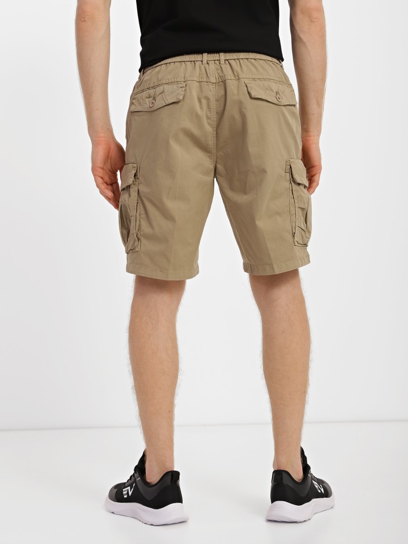 Men's shorts Evoids Porto brown 362303-200