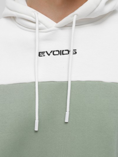 Толстовка чоловіча Evoids Roncao зелена 552267-310