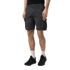 Men's shorts Evoids Cassian gray 362502-011