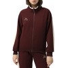 Women's sweatshirt Evoids Juniper brown 552523-200