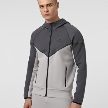 Men's sweatshirt Evoids Damien gray 312502-011