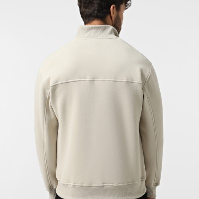 Men's sweatshirt Evoids Thymus gray 552573-011